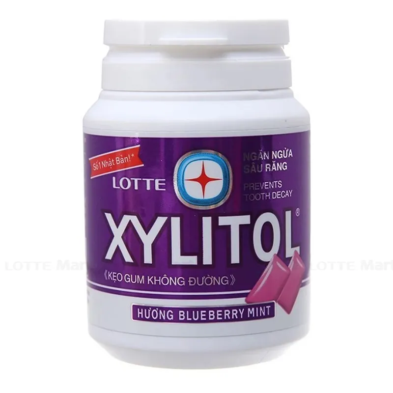 Kẹo Gum Xylitol BTS Không Đường Hương Blueberrry Mint Hũ 137.8g