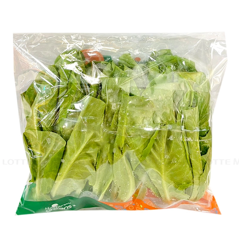 Hasfarm Greens 틴 리프 그린 상추 100G (EA) 3