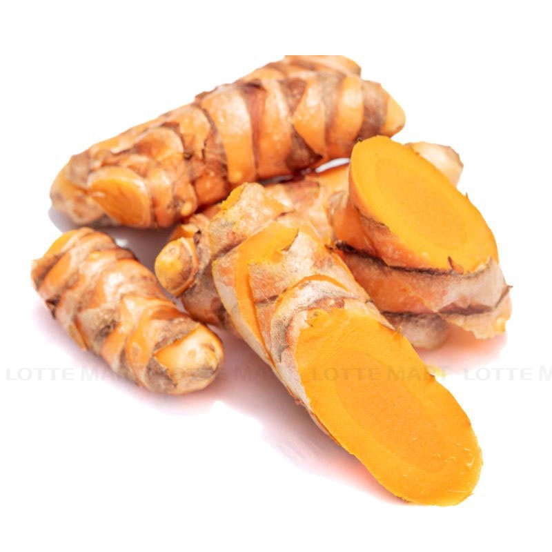 강황 100G 4