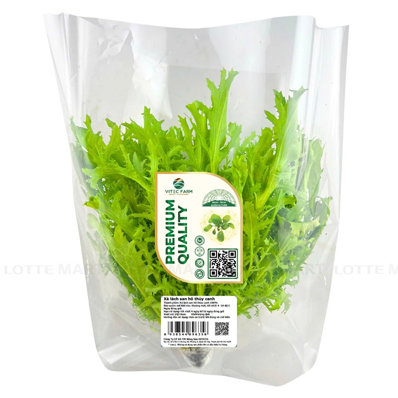 VITEC FARM 수경재배 산호상추 150G 2