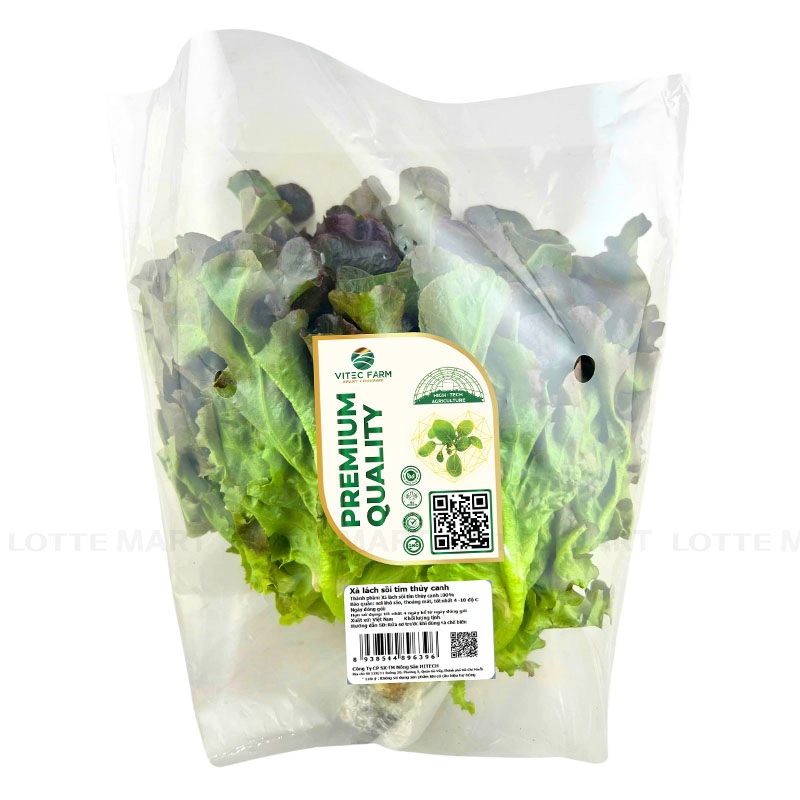 VITEC FARM 수경재배 적오크상추 150G 2