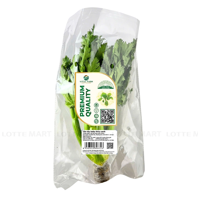 VITEC FARM 수경재배 베이비 셀러리 200G 2