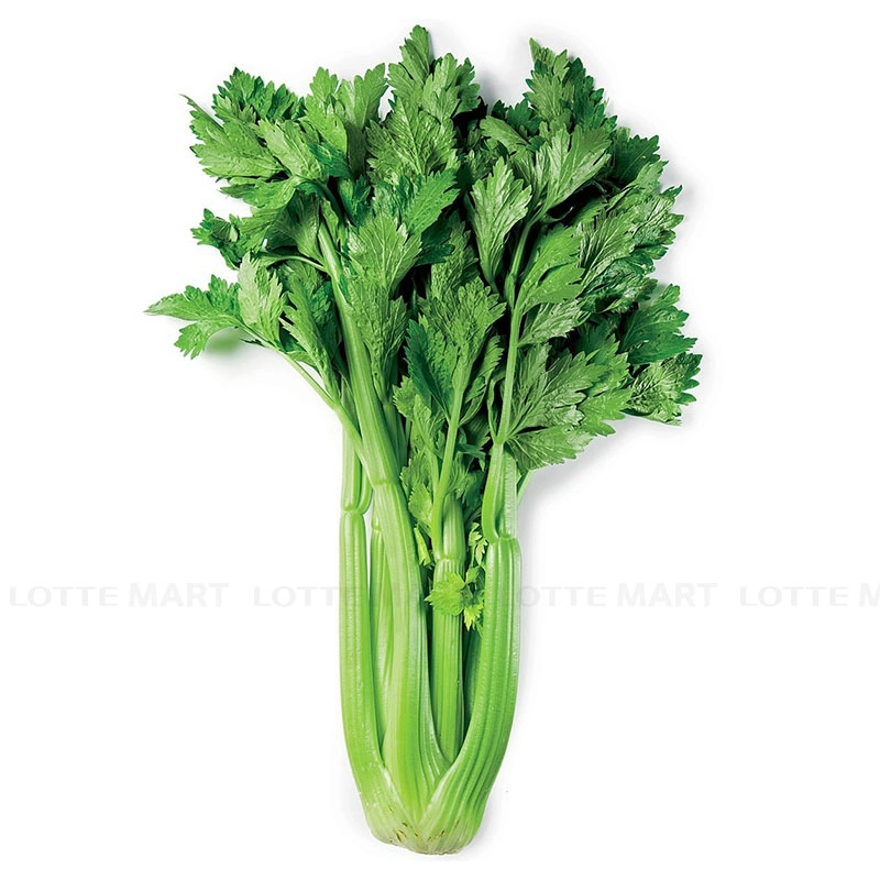 VITEC FARM 수경재배 베이비 셀러리 200G 3