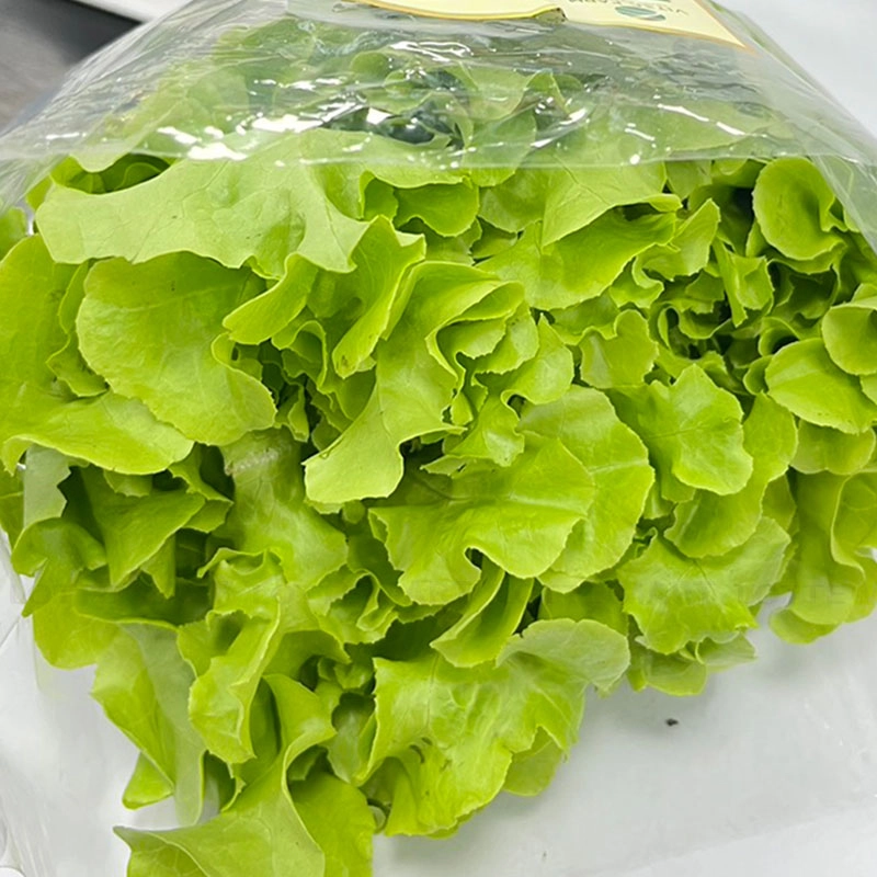 VITEC FARM 수경재배 청오크상추 150G 3