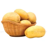 https://www.lottemart.vn/media/catalog/product/cache/200x200/2/2/2273590000004.jpg.webp