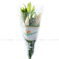 https://www.lottemart.vn/media/catalog/product/cache/200x200/8/9/8935077342390.jpg.webp