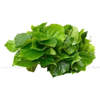 https://www.lottemart.vn/media/catalog/product/cache/200x200/8/9/8936123160654-2.jpg.webp