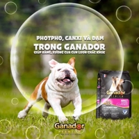 https://www.lottemart.vn/media/catalog/product/cache/200x200/8/9/8938509770211-3.jpg.webp