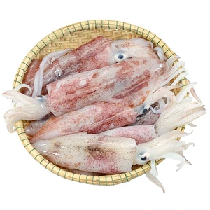 오징어 (중간 크기)  500G 1