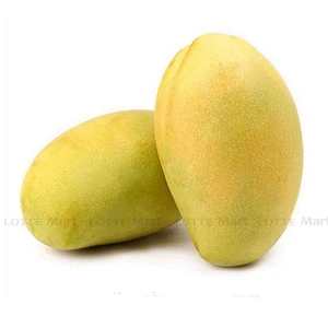 베트남종 망고  1.1kg 1