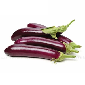 가지 650G 1