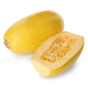 스파게티 스쿼시 1.4kg 1