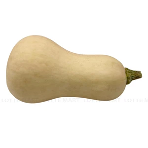 콩호박 1KG 1