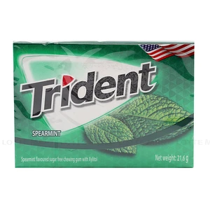 Trident 민트맛 무설탕 껌 12개입 1