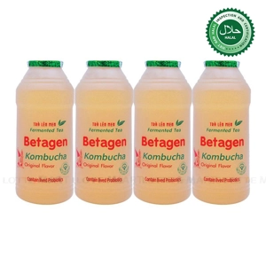 Betagen 콤부차 발효차 (200ML x 4개입)