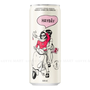 KOMBUCHA HAYDAY ATISO DO 320ML 1