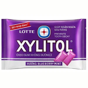 자일리톨 블루베리 민트 맛 껌 11.6G