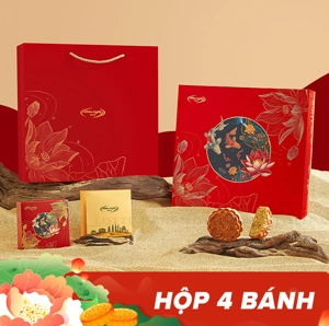 Huu Nghi Thanh Nguyet Tinh Khoi 월병 4개 세트 480G