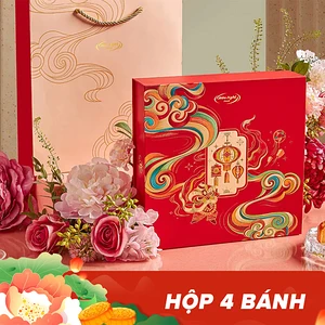 Hữu Nghị 탄응우옛 빈안 월병 4개 세트 600G