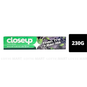 Closeup 치약 대나무숯 민트 230G
