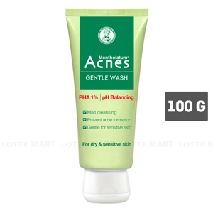 아크네스 Gentle Wash 안티 아크네 클렌징 젤 100G