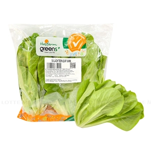 Hasfarm Greens 틴 리프 그린 상추 100G (EA) 1