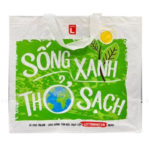 Túi Môi Trường Sống Xanh Choice L Size Lớn 40x45x22cm 1