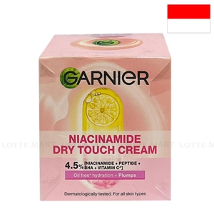 Garnier Niacinamide 드라이 터치 크림 50ml