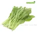 https://www.lottemart.vn/media/catalog/product/cache/75x75/0/4/0400225990009-1.jpg.webp