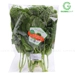 https://www.lottemart.vn/media/catalog/product/cache/75x75/0/4/0400233090005-1_1.jpg.webp