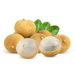 https://www.lottemart.vn/media/catalog/product/cache/75x75/0/4/0400311280007-1.jpg.webp