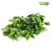 https://www.lottemart.vn/media/catalog/product/cache/75x75/2/0/2085210000000.jpg.webp