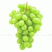https://www.lottemart.vn/media/catalog/product/cache/75x75/2/2/2206840000004.jpg.webp
