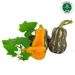 https://www.lottemart.vn/media/catalog/product/cache/75x75/2/2/2226790000008-1-1.jpg.webp