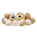 https://www.lottemart.vn/media/catalog/product/cache/75x75/2/2/2278280000005-3.jpg.webp