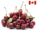 https://www.lottemart.vn/media/catalog/product/cache/75x75/2/2/2278460000009-1.jpg.webp