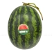 https://www.lottemart.vn/media/catalog/product/cache/75x75/2/3/2311670000008-1_2.jpg.webp