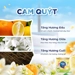 https://www.lottemart.vn/media/catalog/product/cache/75x75/4/9/4987176351395-2.jpg.webp