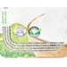 https://www.lottemart.vn/media/catalog/product/cache/75x75/8/9/8935049005407-3.jpg.webp