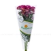 https://www.lottemart.vn/media/catalog/product/cache/75x75/8/9/8935077301120-1.jpg.webp