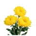 https://www.lottemart.vn/media/catalog/product/cache/75x75/8/9/8935077310511-3.jpg.webp