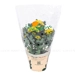https://www.lottemart.vn/media/catalog/product/cache/75x75/8/9/8935077356236-2.jpg.webp