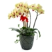 https://www.lottemart.vn/media/catalog/product/cache/75x75/8/9/8935077380217-1.jpg.webp