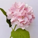 https://www.lottemart.vn/media/catalog/product/cache/75x75/8/9/8935077381030-1.jpg.webp