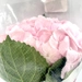 https://www.lottemart.vn/media/catalog/product/cache/75x75/8/9/8935077381030-3.jpg.webp