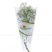 https://www.lottemart.vn/media/catalog/product/cache/75x75/8/9/8935077382570-1.jpg.webp