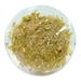 https://www.lottemart.vn/media/catalog/product/cache/75x75/8/9/8936024471743-3.jpg.webp