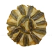 https://www.lottemart.vn/media/catalog/product/cache/75x75/8/9/8936024471750-2.jpg.webp