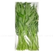 https://www.lottemart.vn/media/catalog/product/cache/75x75/8/9/8936123160067-2.jpg.webp