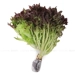 https://www.lottemart.vn/media/catalog/product/cache/75x75/8/9/8936231020154-1.jpg.webp